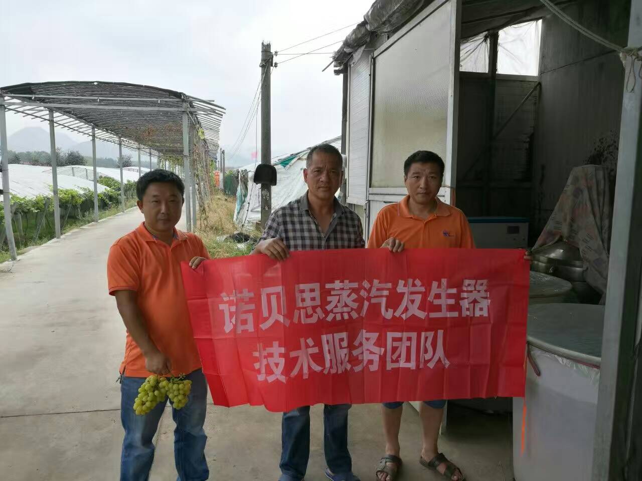 酿酒用青青草免费在线观看视频
