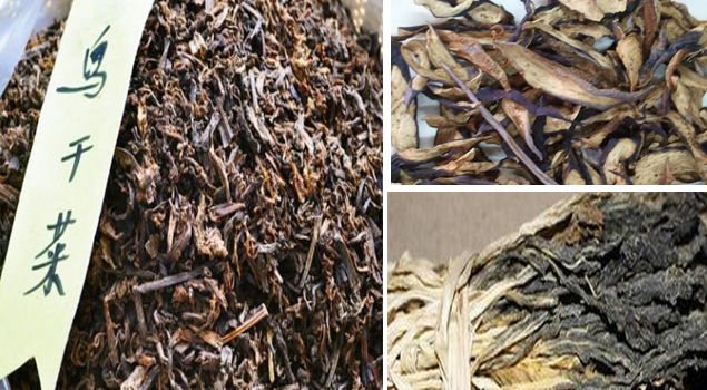 蔬菜烘干用青青草免费在线观看视频