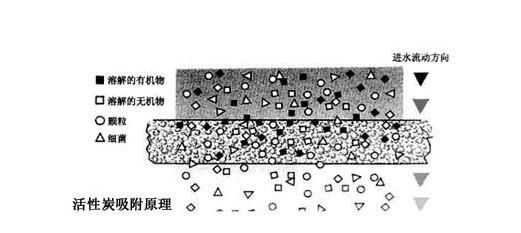 活性炭消毒青青草免费在线观看视频