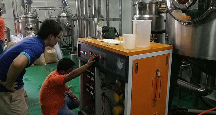 青青草精品视频蒸汽发生器技术团队现场指导