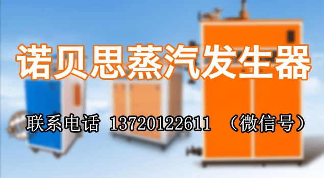 武钢集团购青青草精品视频蒸汽发生器用于食堂蒸饭保温